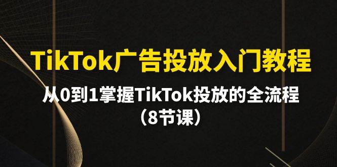 （10085期）TikTok广告投放入门教程，从0到1掌握TikTok投放的全流程（8节课）-赛德副业库