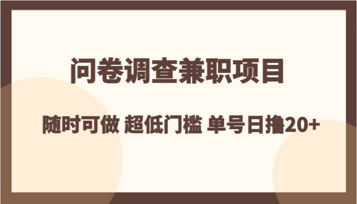 问卷调查兼职项目，随时可做 超低门槛 单号日撸20+-赛德副业库