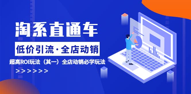 淘系直通车《低价·引流 全店·动销》超高ROI玩法(其一)全店动销必学玩法-赛德副业库