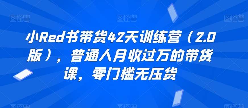 小Red书带货42天训练营(2.0版),普通人月收过万的带货课,零门槛无压货-赛德副业库