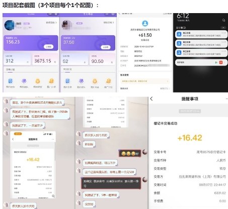 图片[2]-当天能收益的3个小项目拆解_包括平台+操作流程-赛德副业库