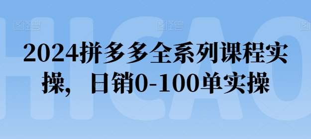 2024拼多多全系列课程实操，日销0-100单实操【必看】-赛德副业库
