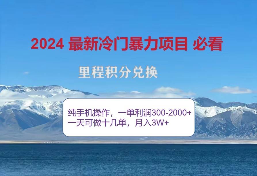 2024惊爆冷门暴利，里程积分最新玩法，高爆发期，一单300+—2000+-赛德副业库
