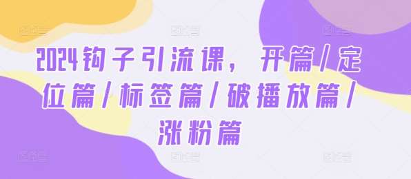 2024钩子引流课，开篇/定位篇/标签篇/破播放篇/涨粉篇-赛德副业库