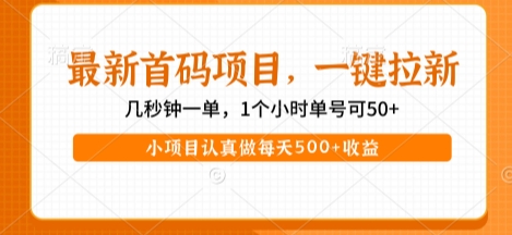 最新首码项目，操作最简单，收益高，一键拉新，1个小时单号可50+，小项目认真做每天5张+收益【揭秘】-赛德副业库