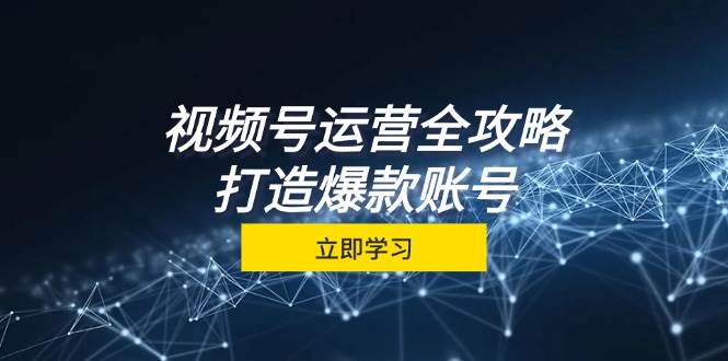 （12912期）视频号运营全攻略，从定位到成交一站式学习，视频号核心秘诀，打造爆款…-赛德副业库