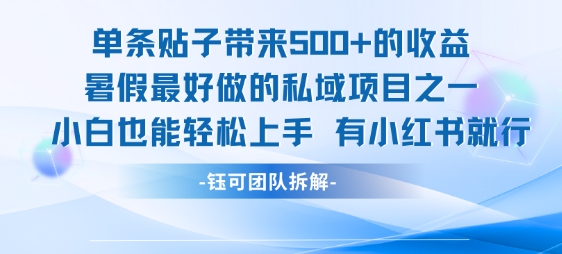 单条贴子带来5张的收益,暑假最好做的私域项目之一,小白也能轻松上手,有小红书就行-赛德副业库