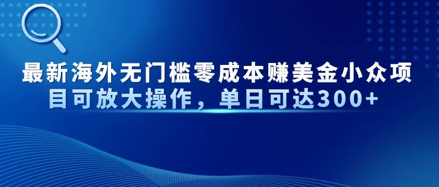 (14542期)最新海外无门槛零成本赚美金小众项目可放大操作,单日可达300+-赛德副业库