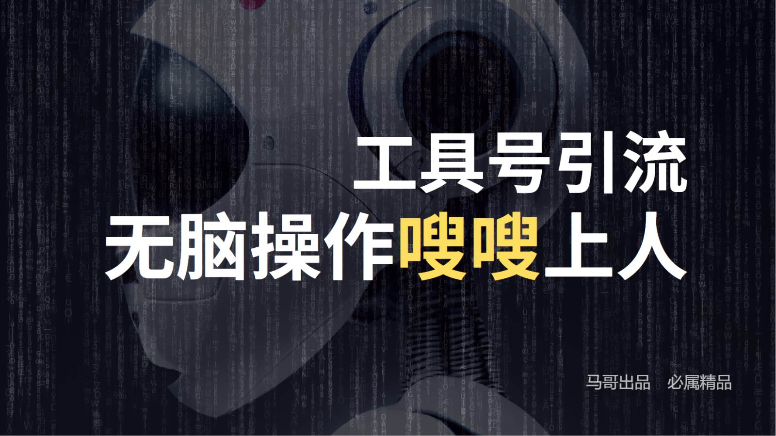工具号高效引流法，嗖嗖上人，日引1000+，直接搬运，无脑操作-赛德副业库