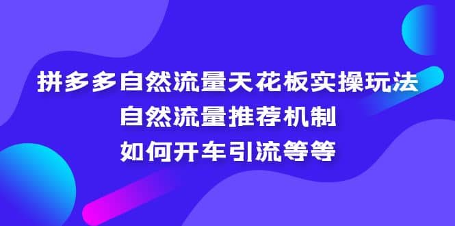 拼多多自然流量天花板实操玩法：自然流量推荐机制，如何开车引流等等-赛德副业库