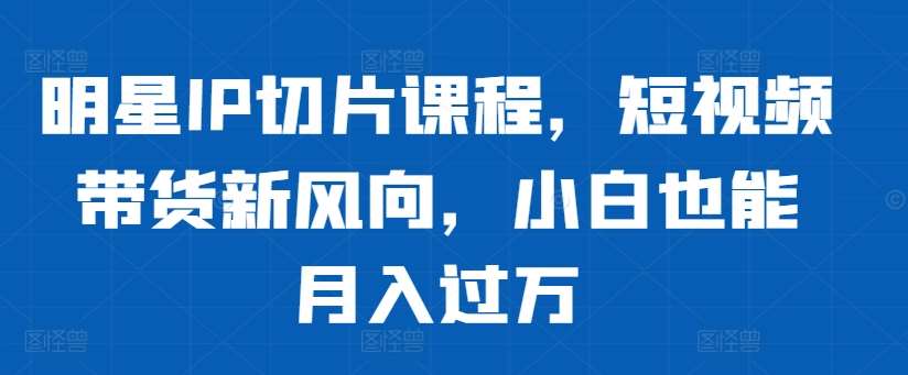 明星IP切片课程，短视频带货新风向，小白也能月入过万-赛德副业库