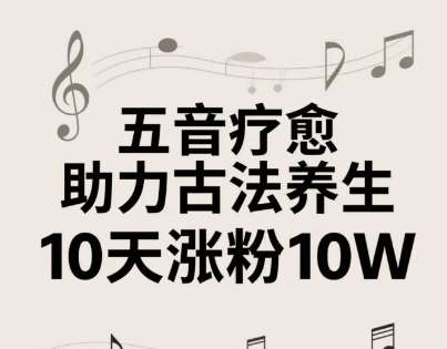 古法五音养生教程，五音疗愈的视频的制作方法，2-4小时就能学会，作者10天涨粉10W-赛德副业库