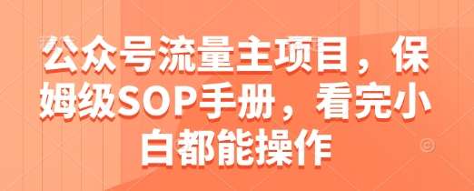 公众号流量主项目,保姆级SOP手册,看完小白都能操作-赛德副业库