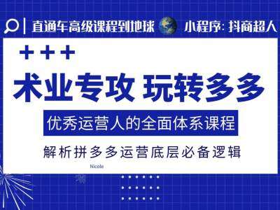 术业专攻玩转多多，优秀运营人的全面体系课程，解析拼多多运营底层必备逻辑-赛德副业库