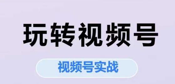 玩转视频号，视频号实战系列课-赛德副业库