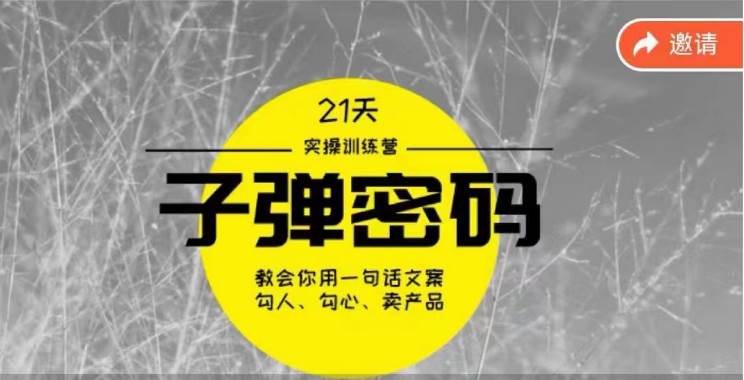 《子弹密码训练营》-用一句话文案勾人勾心卖产品，21天学到顶尖文案大师策略和技巧-赛德副业库