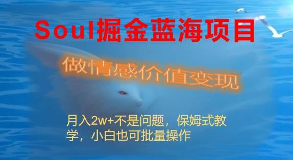 (8531期)Soul掘金蓝海项目细分赛道,做情感价值变现,月入2w+不是问题-赛德副业库
