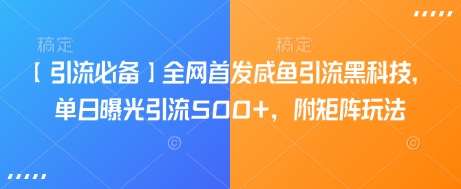 【引流必备】全网首发咸鱼引流黑科技,单日曝光引流500+,附矩阵玩法【揭秘】-赛德副业库