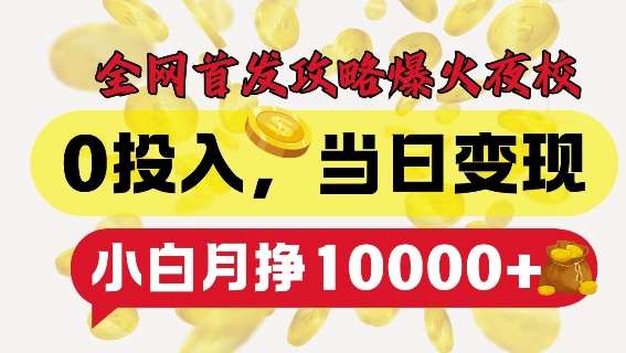 全网首发爆火夜校，0投入，当日变现，小白轻松月入1w+【揭秘】-赛德副业库