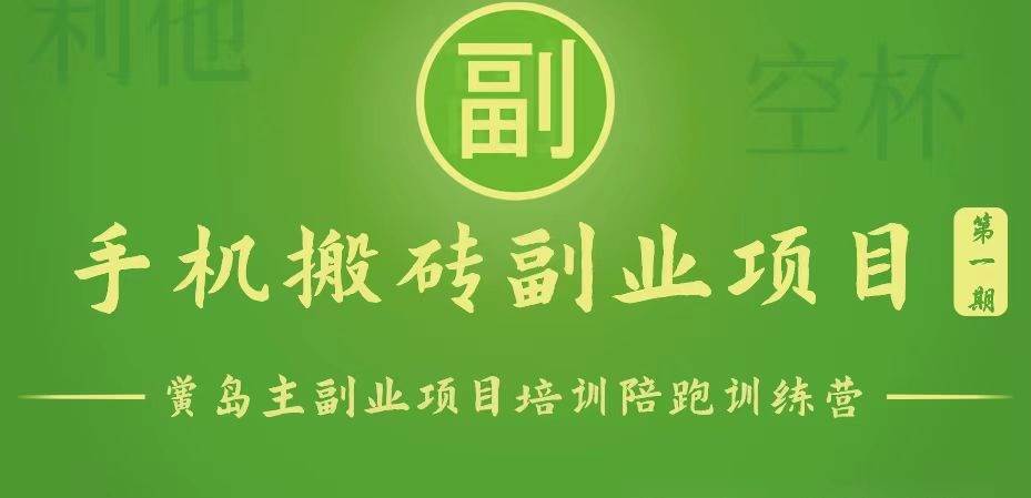 手机搬砖小副业项目训练营1.0，能用手机做的简单小副业-赛德副业库