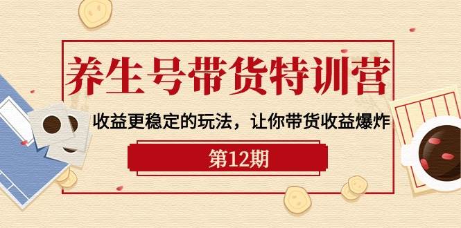 (10110期)养生号带货特训营【12期】收益更稳定的玩法,让你带货收益爆炸-9节直播课-赛德副业库