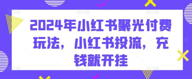 2024年小红书聚光付费玩法，小红书投流，充钱就开挂-赛德副业库
