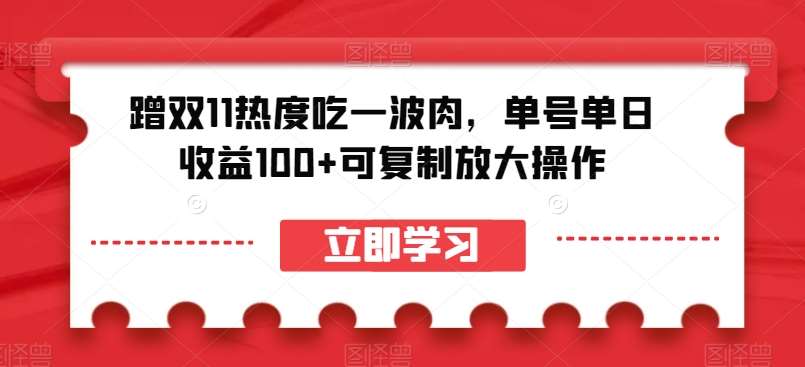 蹭双11热度吃一波肉，单号单日收益100+可复制放大操作【揭秘】-赛德副业库