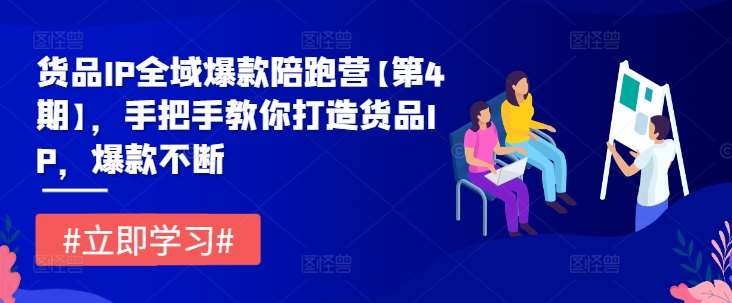货品IP全域爆款陪跑营【第4期】，手把手教你打造货品IP，爆款不断-赛德副业库