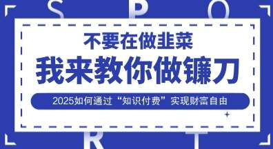韭菜生涯终结者,我来教你做镰刀,2025如何通过“知识付费”实现财F自由【揭秘】-赛德副业库