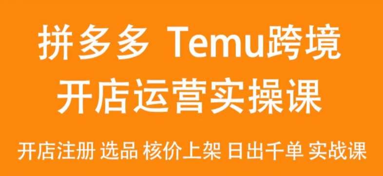 2024Temu最新玩法,Temu跨境开店运营实操课,开店注册/选品/核价上架/日出千单实战课-赛德副业库