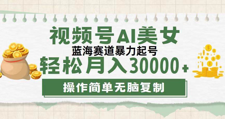 （12087期）视频号AI美女跳舞，轻松月入30000+，蓝海赛道，流量池巨大，起号猛，无…-赛德副业库