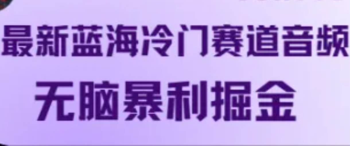 最新蓝海冷门赛道音频，无脑暴利掘金-赛德副业库