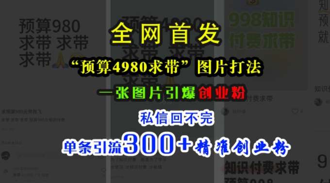 小红书“预算4980带我飞”图片打法,一张图片引爆创业粉,私信回不完,单条引流300+精准创业粉-赛德副业库