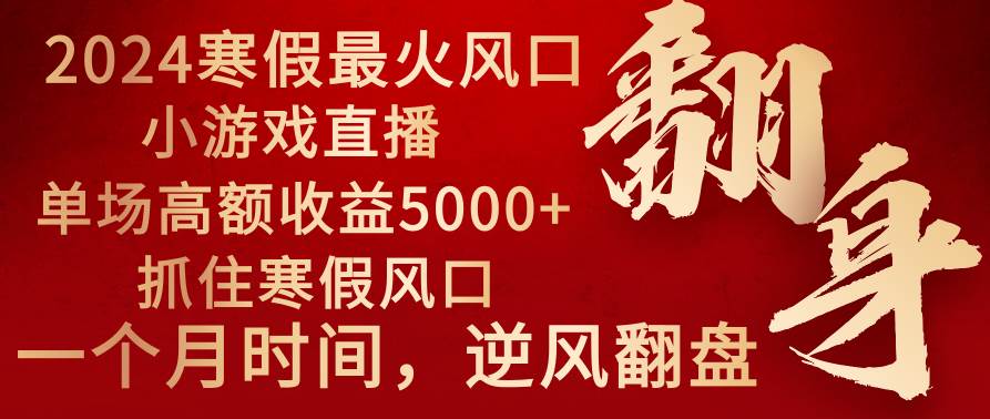 （8766期）2024年最火寒假风口项目 小游戏直播 单场收益5000+抓住风口 一个月直接提车-赛德副业库