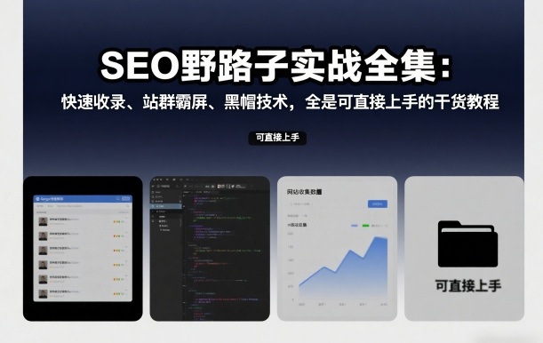 SEO野路子实战全集：快速收录、站群霸屏、黑帽技术，全是可直接上手的干货教程-赛德副业库