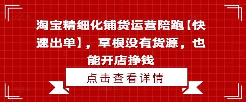 淘宝精细化铺货运营陪跑【快速出单】，草根没有货源，也能开店挣钱-赛德副业库