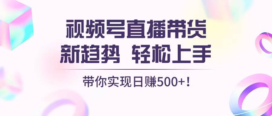 （13370期）视频号直播带货新趋势，轻松上手，带你实现日赚500+-赛德副业库
