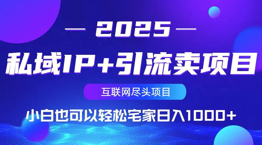 (14151期)私域IP+引流卖项目,小白也可以做到轻松宅家日入1000+-赛德副业库