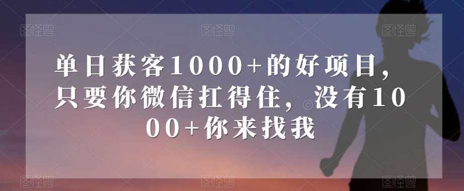 单日获客1000+的好项目，只要你微信扛得住，没有1000+你来找我【揭秘】-赛德副业库