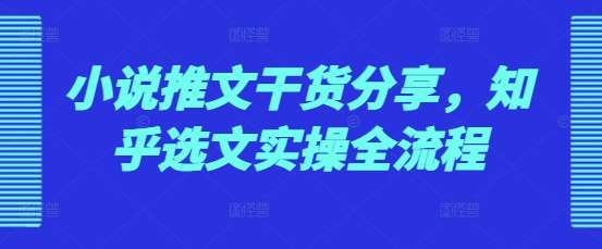 小说推文干货分享，知乎选文实操全流程-赛德副业库