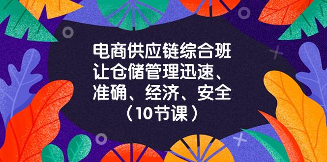 （8246期）电商-供应链综合班，让仓储管理迅速、准确、经济、安全！（10节课）-赛德副业库