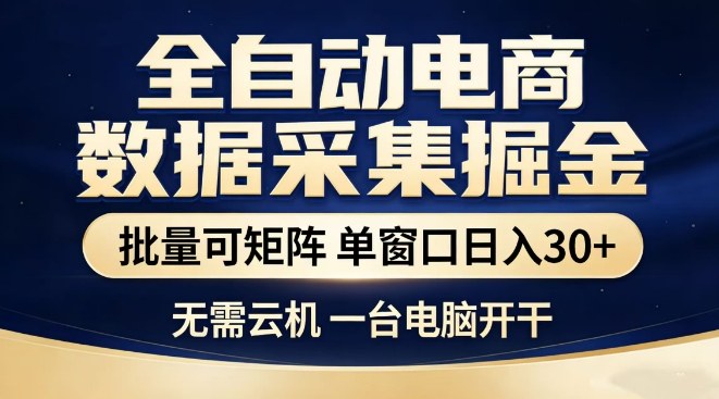 全自动电商数据集掘金,批量可矩阵,单窗口日入30+,无需云机,一台电脑开干【揭秘】-赛德副业库