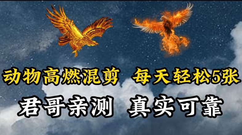 动物超燃混剪，每天轻松5张，剪辑简单大家爱看【揭秘】-赛德副业库