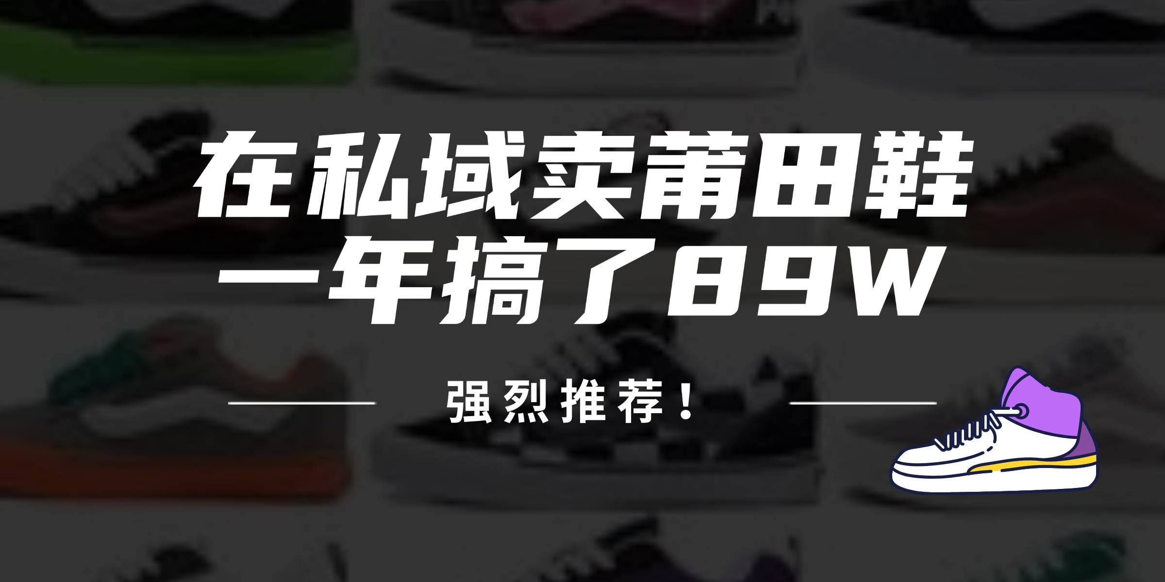(12370期)24年在私域卖莆田鞋,一年搞了89W,强烈推荐!-赛德副业库