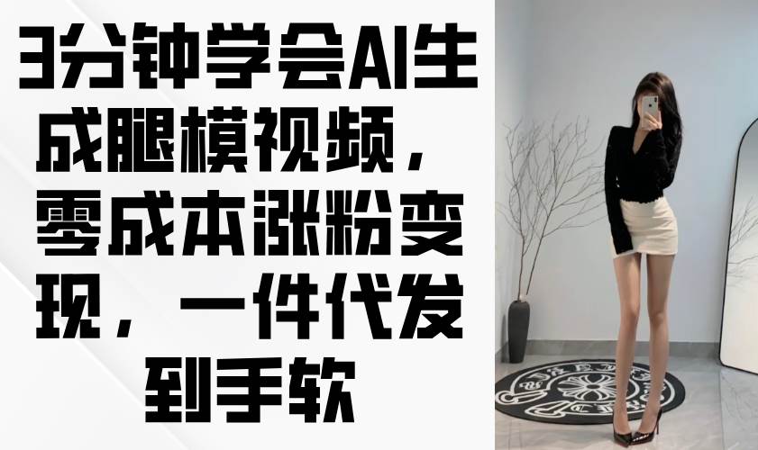 （14537期）3分钟学会AI生成腿模视频，零成本涨粉变现，一件代发到手软-赛德副业库