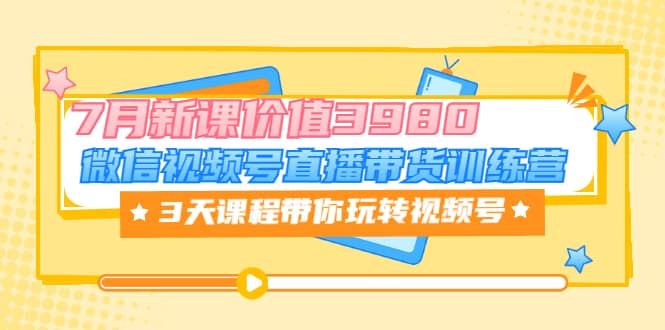微信视频号直播带货训练营，3天课程带你玩转视频号：7月新课价值3980-赛德副业库