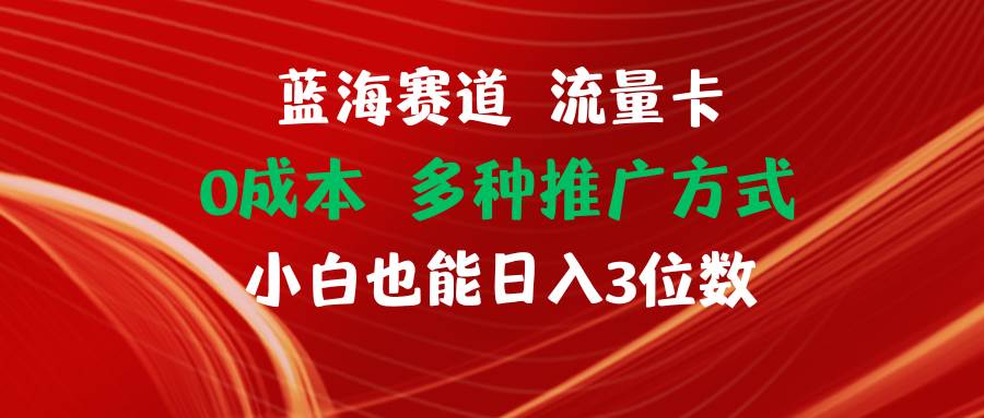(11768期)蓝海赛道 流量卡 0成本 小白也能日入三位数-赛德副业库