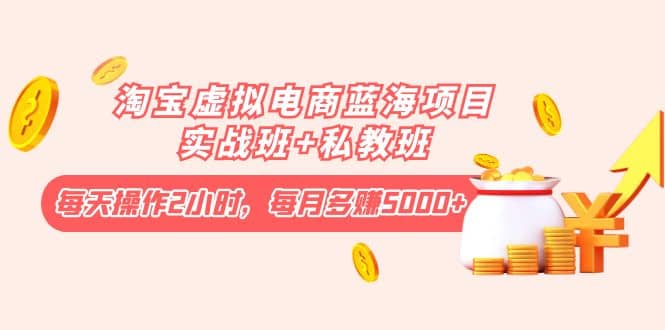 淘宝虚拟电商蓝海项目实战班+私教班-赛德副业库