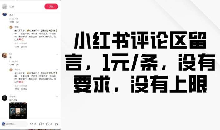 小红书评论区留言，1元条，没有要求，没有上限-赛德副业库