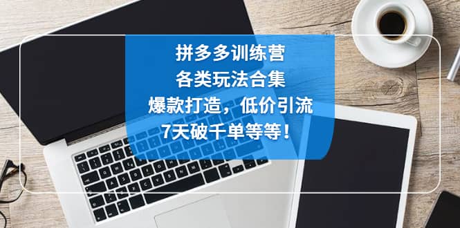 拼多多训练营：各玩法合集，爆款打造，低价引流，7天破千单等等-赛德副业库